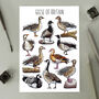 Geese Of Britain Watercolour Postcard, thumbnail 1 of 8