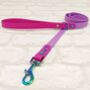 Waterproof Dog Collar And Lead Set Amethyst/Pink Berry, thumbnail 3 of 3