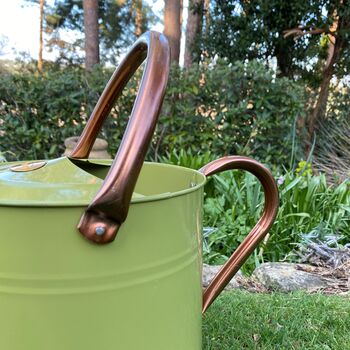 Lemon And Lime Green And Copper Trim Watering Can Duo, 5 of 9