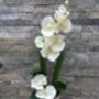 Cream Artificial Silk Orchid Luxury Flower Arrangement Mothers Day Gift, thumbnail 4 of 6