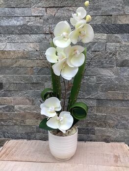 Cream Artificial Silk Orchid Luxury Flower Arrangement Mothers Day Gift, 4 of 6