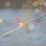 Butterfly Fairy Lights, thumbnail 7 of 7