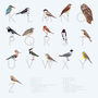 Alphabetical British Garden Bird Print A Z, thumbnail 4 of 4