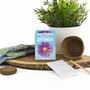 Grow Your Own Birth Flower Choose Your Month, thumbnail 10 of 12