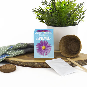 Grow Your Own Birth Flower Choose Your Month, 10 of 12