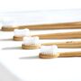 Truthbrush Plastic Free Bamboo Toothbrushes, thumbnail 4 of 12
