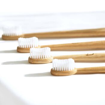 Truthbrush Plastic Free Bamboo Toothbrushes, 4 of 12