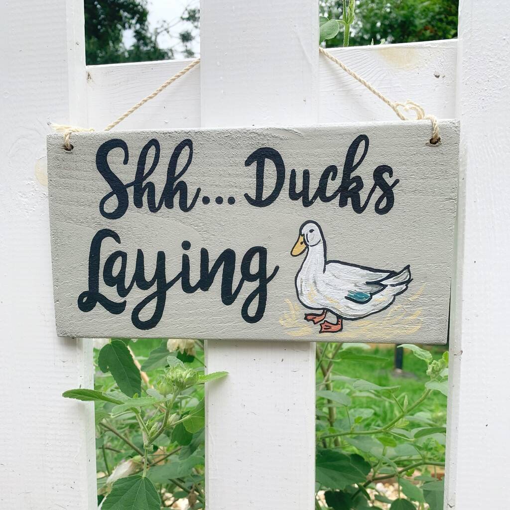 Ducks Laying Wooden Sign Letterbox Friendly, 1 of 7