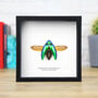 Sternocera Jewel Beetle Insect Bug Entomology Taxidermy Box Frame, thumbnail 1 of 3