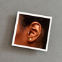 Exceptional Sister Sterling Silver Gold Star Earrings, thumbnail 5 of 8