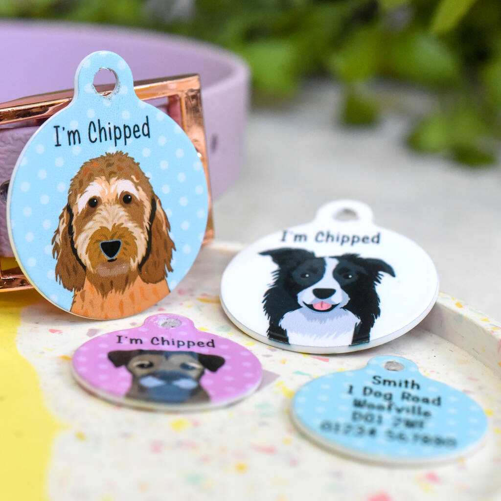 Dog Breed ID Tag Personalised Realistic Illustrations, 1 of 12