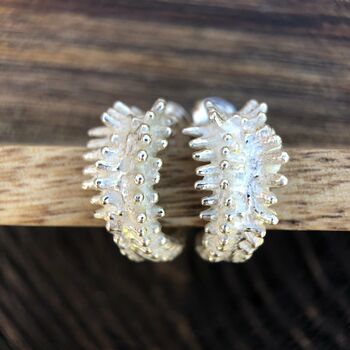 Spine Eco Sterling Silver Hoop Earrings, 3 of 7
