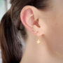 Star Hoops, thumbnail 2 of 8