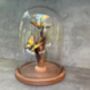 28cm Glass Display Cloche Dome – Bell Jar, thumbnail 5 of 9