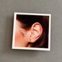 Exceptional Sister Sterling Silver Gold Star Earrings, thumbnail 6 of 8