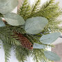 Eucalyptus And Spruce Garland With Pinecones, thumbnail 4 of 4