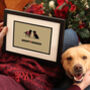 Personalised Labrador Print For One Or Two Dogs, thumbnail 1 of 12