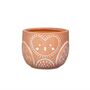Terracotta Owl Planter With Choices Of Succulents, thumbnail 3 of 3