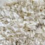 White Wedding Confetti | Biodegradable Throwing Petals, thumbnail 2 of 3