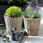 Extra Large Zinc Lined Rattan Planter, thumbnail 3 of 6