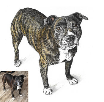 Personalised Watercolour Pet Portrait, 3 of 12