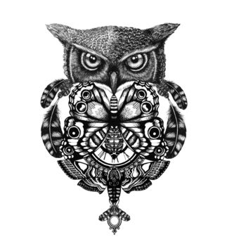 'The Owl And Pocket Watch' Fine Art Print By EC Studio ...