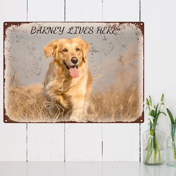 Personalised Pet Photo Quality Vintage Metal Sign, 6 of 7