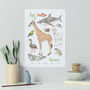 Personalised Animal Alphabet Print Unframed, thumbnail 7 of 12