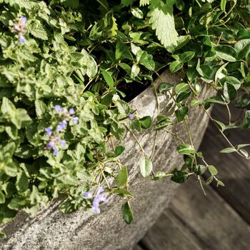 Cranford Oval Ficonstone Garden Planter, 3 of 6