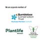 Mother's Day Duo Bee/Butterfly Friendly Wildflower Seed, thumbnail 7 of 7
