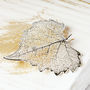 Natural Cottonwood Heart Leaf Gold Or Silver Brooch, thumbnail 5 of 12