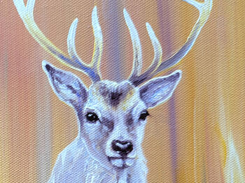 Nascent Stag, 4 of 10