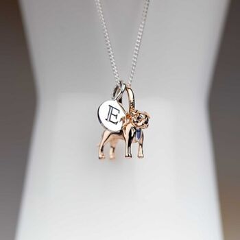 Personalised Staffordshire Bull Terrier Necklace, 3 of 4