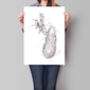 Abstract Gallbladder Anatomy Sketch, thumbnail 1 of 4