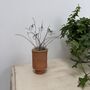 Wire Snowdrops In Handmade Terracotta Pot, thumbnail 3 of 8
