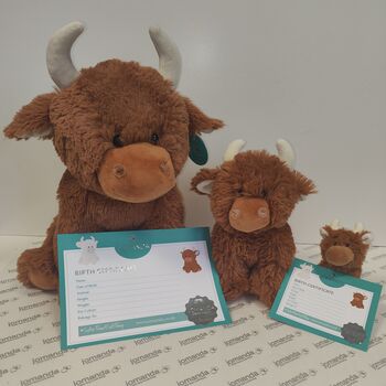 Birth Certificate Highland Plush Cow, Special Edition, 3 of 3