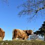 Wensleydale Farming Experience For A Family Of Four, thumbnail 2 of 6