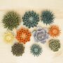 Ceramic Flower Decorate Your Table, Wall, Terrarium, thumbnail 6 of 10