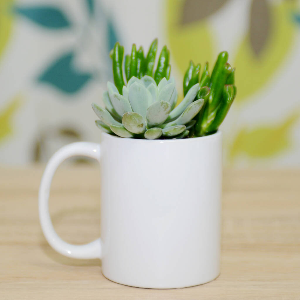 Mug With Choice Of Plants By DingaDing