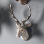 Weathered Stag Head, thumbnail 2 of 4