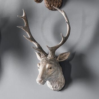 Weathered Stag Head, 2 of 4