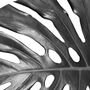 Set Of Three Black And White Monstera Leaves Prints, thumbnail 6 of 8