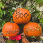 No Mess, 'Boo' Wire Pumpkin Decoration, thumbnail 4 of 4