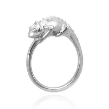 Chameleon Ring, 6 of 9