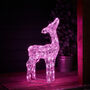Twinkly Smart LED Outdoor Acrylic Christmas Fawn Figure, thumbnail 8 of 12