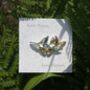 Silver And Golds Butterfly Brooch, thumbnail 3 of 4