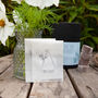 Grow Your Own Bouquet With Designer Vase Gift Set, thumbnail 4 of 11