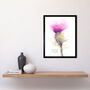 Scottish Thistle Flower Watercolour Scotland Art Print, thumbnail 2 of 3