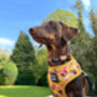 Vintage Yellow Buttercup Peonies Dog Collar, thumbnail 5 of 9