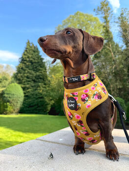Vintage Yellow Buttercup Peonies Dog Collar, 5 of 9